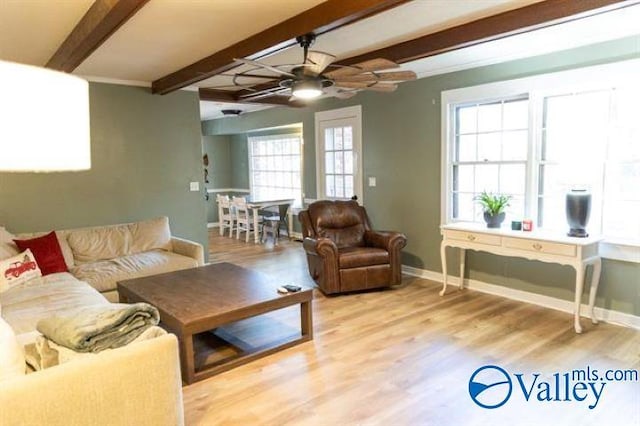 living room featuring ceiling fan, beamed ceiling, and wood-type flooring
