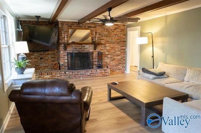 living room featuring beamed ceiling, a brick fireplace, light hardwood / wood-style flooring, and ceiling fan