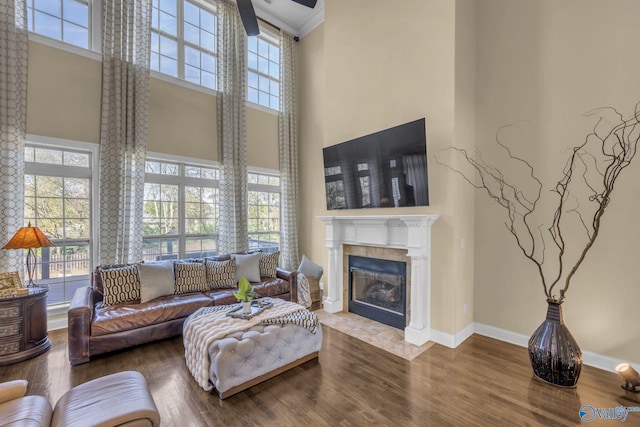 living room featuring hardwood / wood-style flooring and plenty of natural light