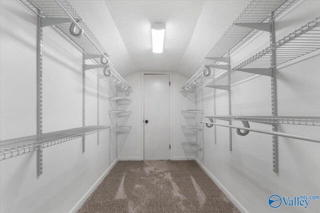 walk in closet with vaulted ceiling and carpet floors