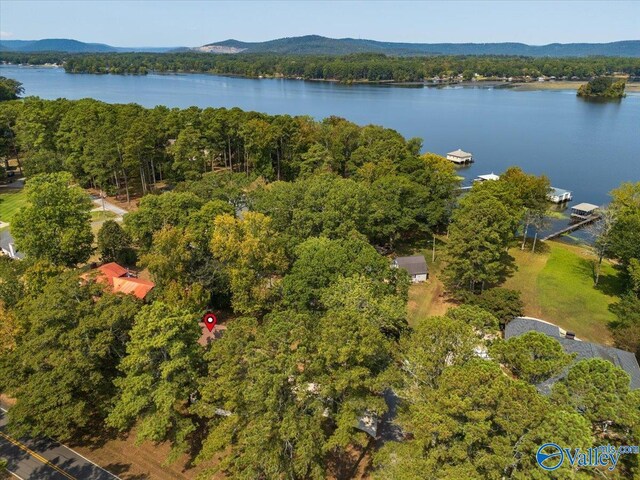 aerial view featuring a water and mountain view