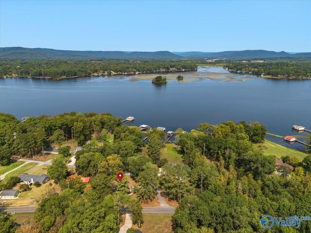 bird's eye view featuring a water and mountain view