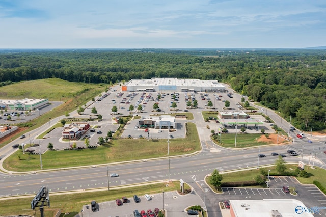 160 Saddle St, New Market, AL 35761 - aerial view of a heavily wooded area