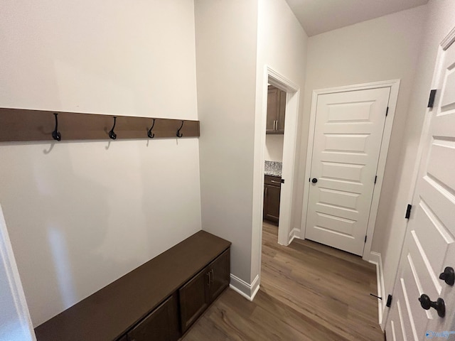 mudroom with dark hardwood / wood-style flooring