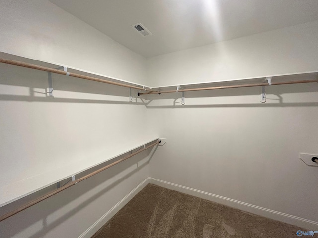 spacious closet featuring carpet