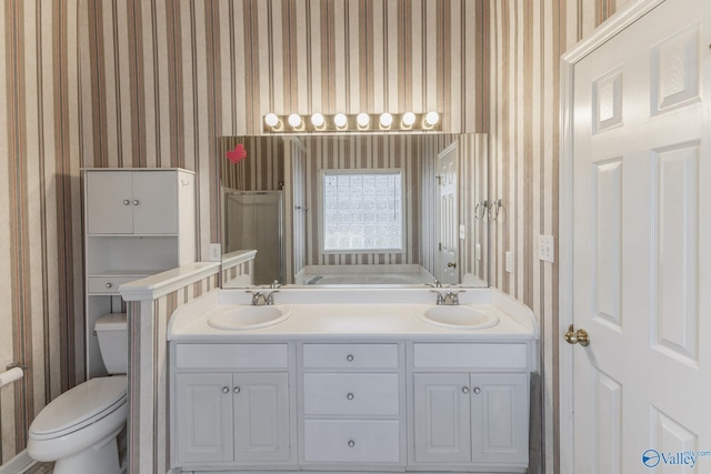 bathroom with toilet and vanity