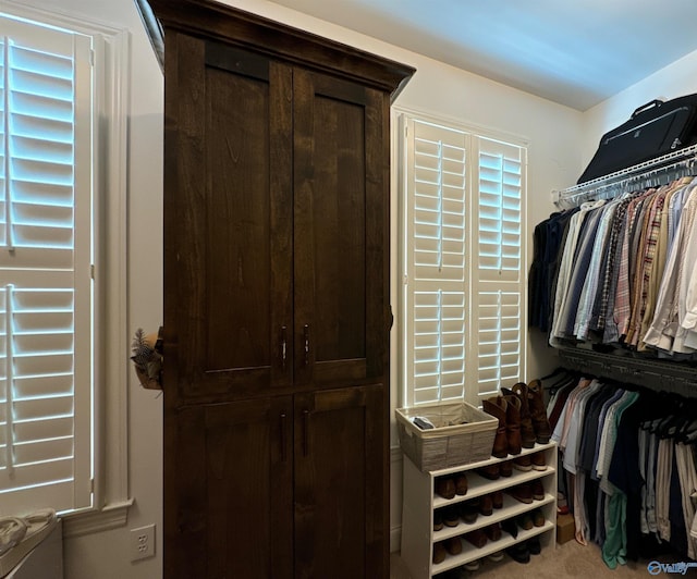 walk in closet with carpet flooring