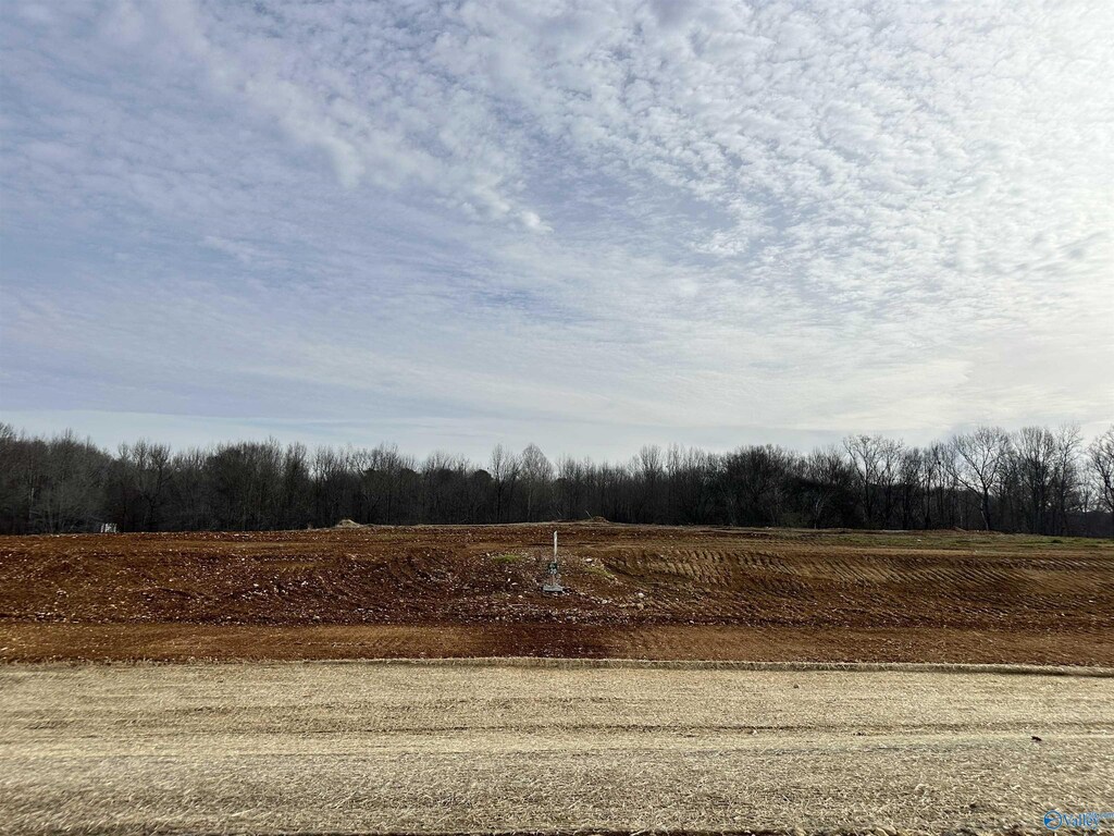 LOT20 Saban Ln, Athens, AL 35613