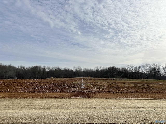 LOT20 Saban Ln, Athens, AL 35613