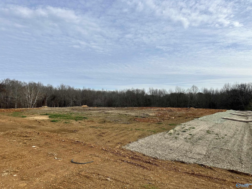 LOT20 Saban Ln, Athens, AL 35613