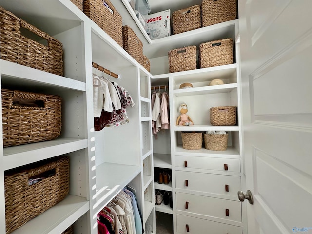 view of walk in closet