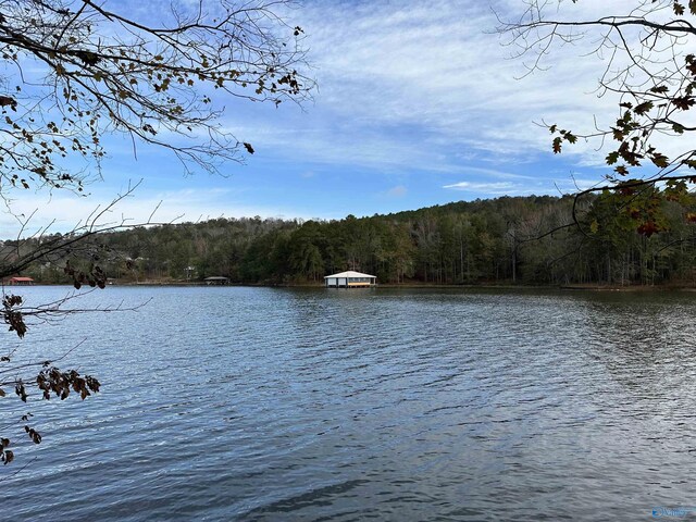 LOT19 Mohawk Cliff Rd, Ohatchee AL, 36271 land for sale