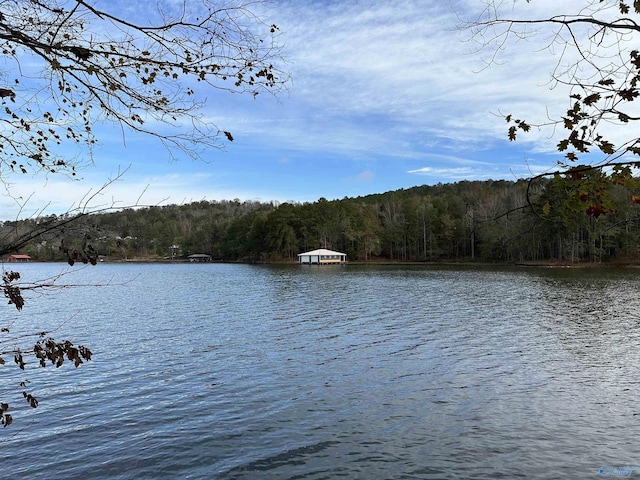 LOT19 Mohawk Cliff Rd, Ohatchee AL, 36271 land for sale