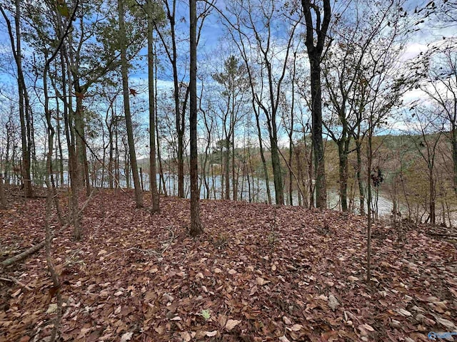 Listing photo 2 for LOT19 Mohawk Cliff Rd, Ohatchee AL 36271