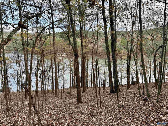 Listing photo 3 for LOT19 Mohawk Cliff Rd, Ohatchee AL 36271