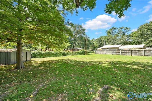 view of yard with a storage shed