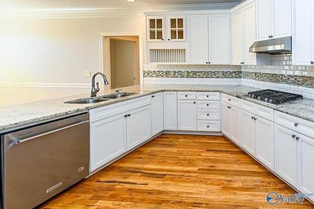 kitchen with under cabinet range hood, appliances with stainless steel finishes, a sink, and ornamental molding