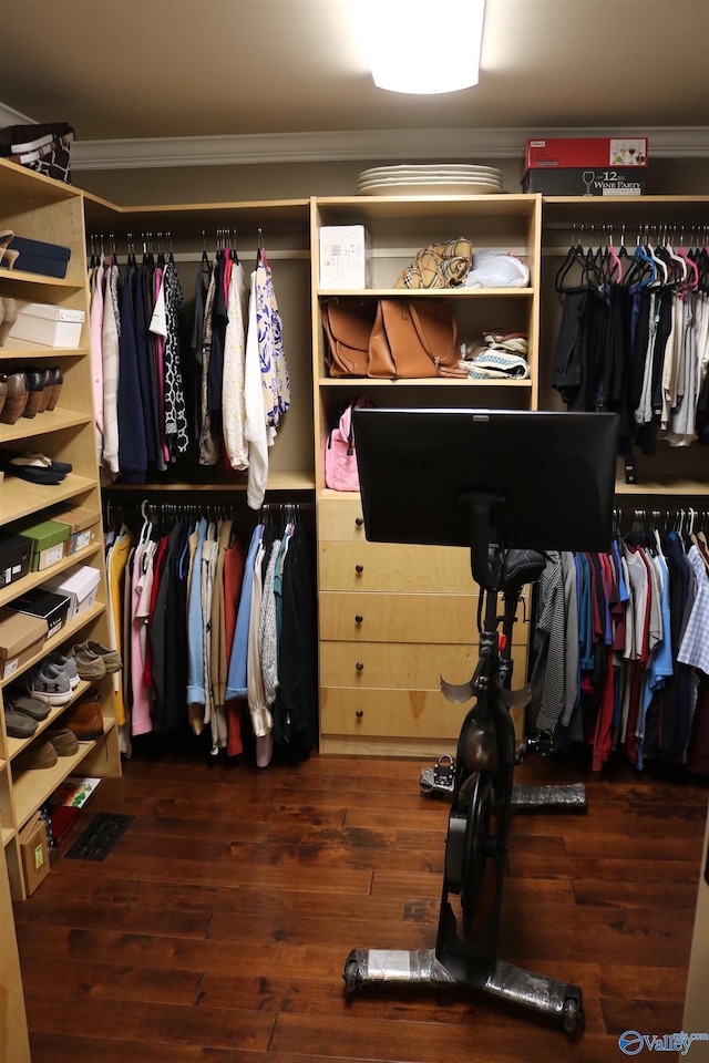 walk in closet featuring wood finished floors