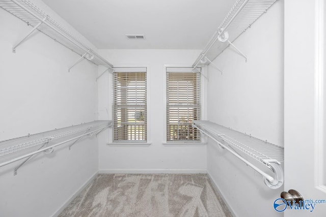 spacious closet with light carpet