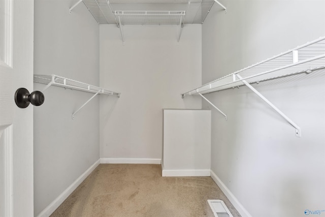 123 Turtle Ridge Dr, New Market, AL 35761 - walk in closet featuring carpet