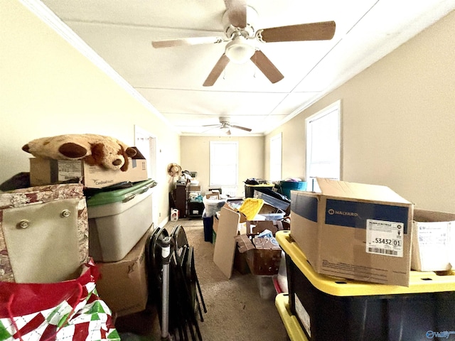 storage room featuring ceiling fan