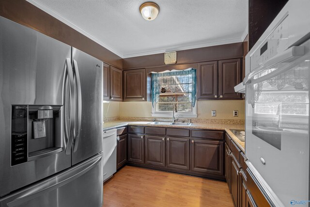 kitchen featuring dark brown cabinets, white appliances, light hardwood / wood-style flooring, and sink