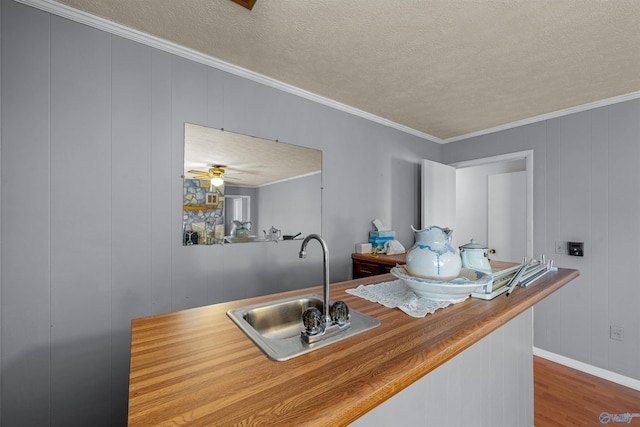 kitchen featuring sink, hardwood / wood-style flooring, ceiling fan, ornamental molding, and a textured ceiling