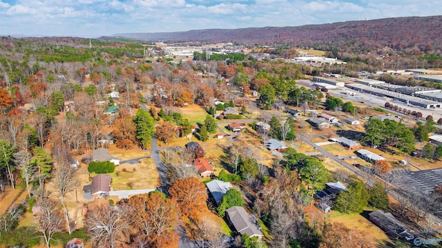 bird's eye view with a mountain view