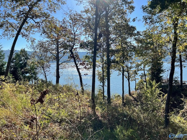 LOT252 Lookout Mountain Dr, Scottsboro AL, 35769 land for sale