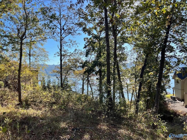 Listing photo 3 for LOT252 Lookout Mountain Dr, Scottsboro AL 35769