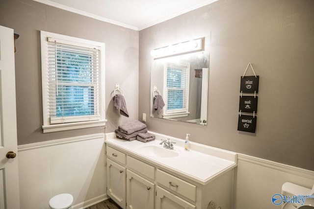 bathroom featuring toilet, vanity, and crown molding