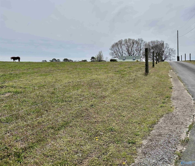view of yard with a rural view