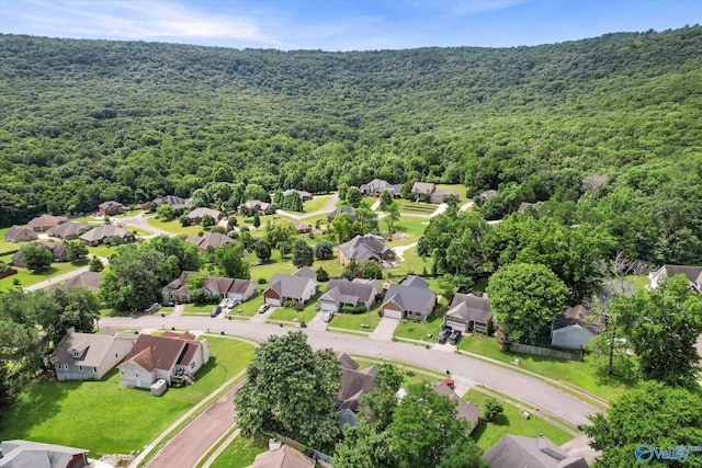 213 Hollington Dr, Huntsville, AL 35811 - aerial view of residential area with a forest