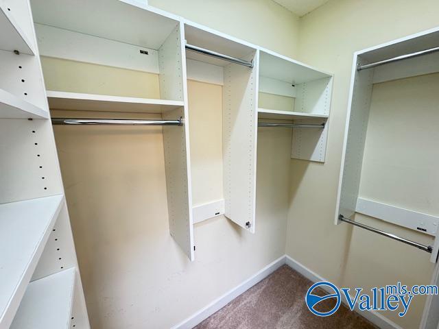 15031 Ashmont Blvd SE, Huntsville, AL 35803 - spacious closet with carpet flooring