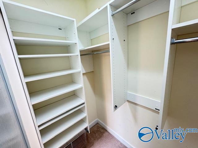15031 Ashmont Blvd SE, Huntsville, AL 35803 - spacious closet with carpet floors