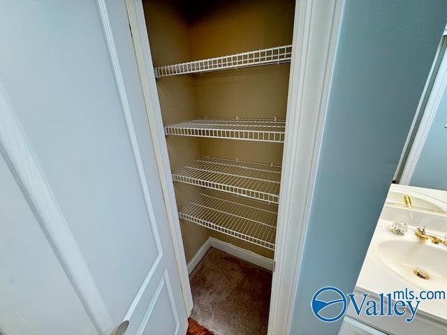 15031 Ashmont Blvd SE, Huntsville, AL 35803 - closet featuring a sink