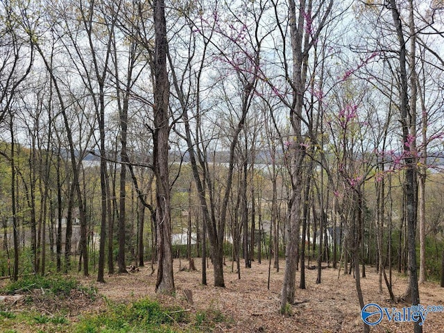 Listing photo 2 for LOT4 Creek Cir, Guntersville AL 35976