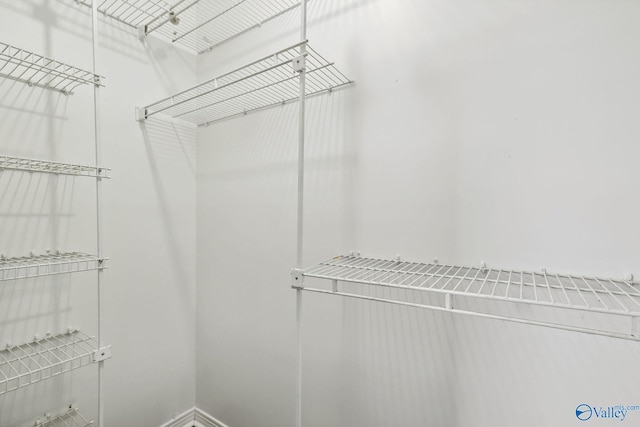 1502 Bower Dr SE, Cullman, AL 35055 - view of spacious closet