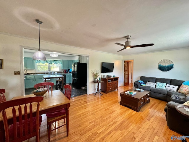 living room featuring ceiling fan, light wood-type flooring, sink, and crown molding