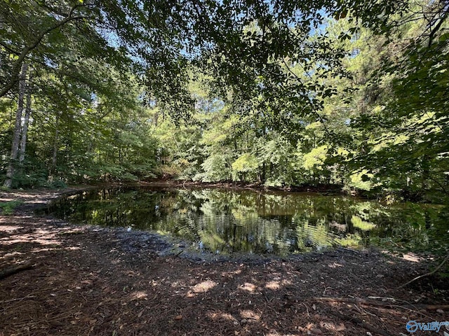 view of landscape featuring a water view