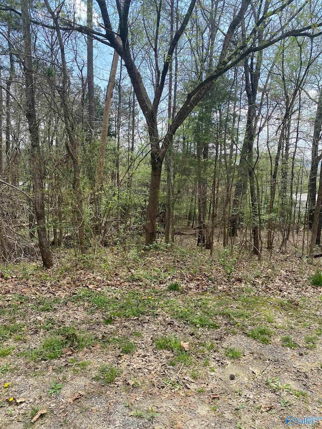 LOT12 Hickory Ln, Valley Head AL, 35989 land for sale