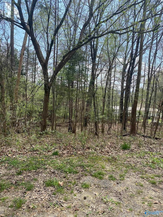 Listing photo 2 for LOT12 Hickory Ln, Valley Head AL 35989