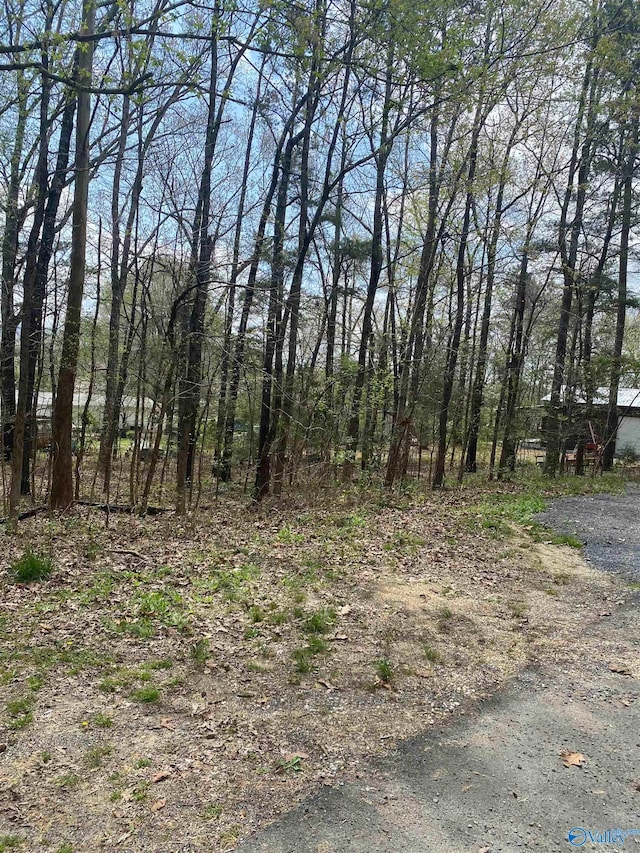 Listing photo 3 for LOT12 Hickory Ln, Valley Head AL 35989