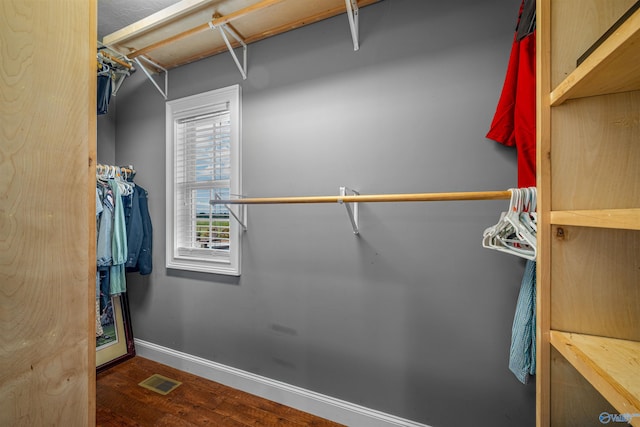1635 County Road 47, Fyffe, AL 35971 - walk in closet with wood finished floors