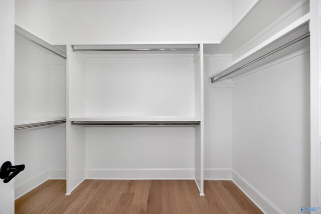 spacious closet with hardwood / wood-style flooring