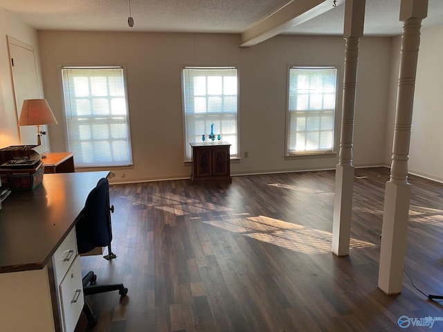 unfurnished office featuring dark wood-type flooring and a healthy amount of sunlight