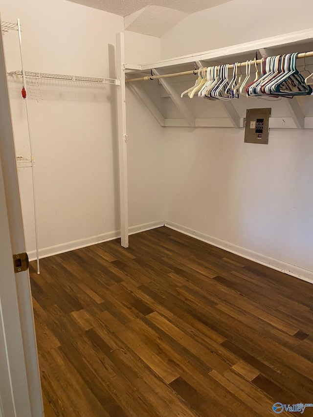 spacious closet with dark hardwood / wood-style flooring