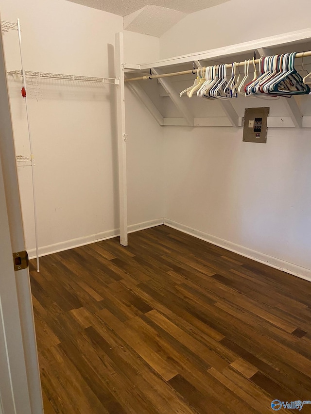 walk in closet featuring electric panel and dark wood-type flooring