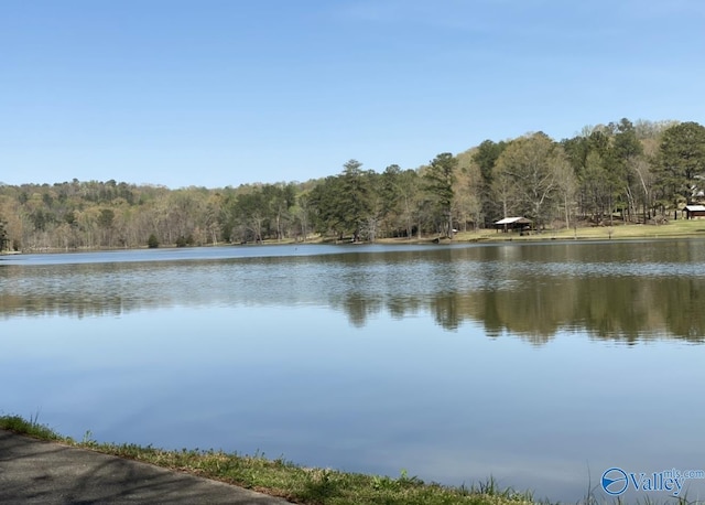 view of water feature featuring a wooded view