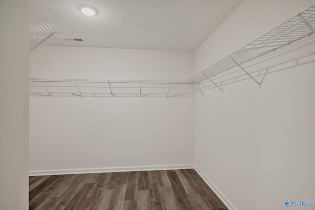 walk in closet featuring dark wood-style floors